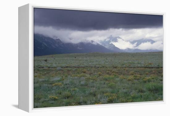 Santa Fe Trail Ruts on the Cimarron Cutoff Route, New Mexico-null-Framed Premier Image Canvas