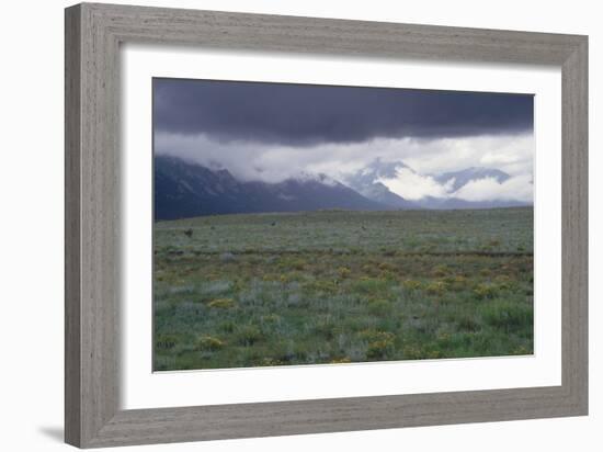 Santa Fe Trail Ruts on the Cimarron Cutoff Route, New Mexico-null-Framed Photographic Print