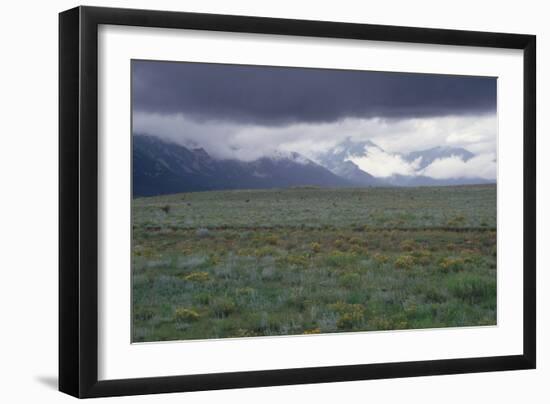 Santa Fe Trail Ruts on the Cimarron Cutoff Route, New Mexico-null-Framed Photographic Print