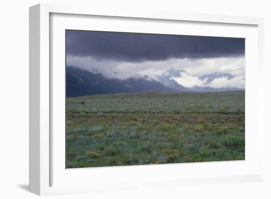 Santa Fe Trail Ruts on the Cimarron Cutoff Route, New Mexico-null-Framed Photographic Print