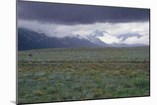 Santa Fe Trail Ruts on the Cimarron Cutoff Route, New Mexico-null-Mounted Photographic Print