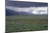 Santa Fe Trail Ruts on the Cimarron Cutoff Route, New Mexico-null-Mounted Photographic Print