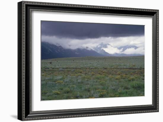 Santa Fe Trail Ruts on the Cimarron Cutoff Route, New Mexico-null-Framed Photographic Print