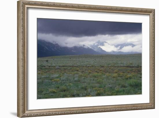 Santa Fe Trail Ruts on the Cimarron Cutoff Route, New Mexico-null-Framed Photographic Print