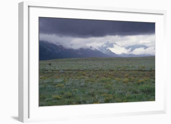 Santa Fe Trail Ruts on the Cimarron Cutoff Route, New Mexico-null-Framed Photographic Print