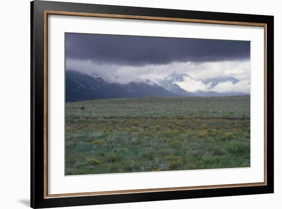 Santa Fe Trail Ruts on the Cimarron Cutoff Route, New Mexico-null-Framed Photographic Print
