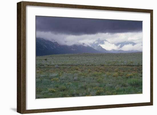 Santa Fe Trail Ruts on the Cimarron Cutoff Route, New Mexico-null-Framed Photographic Print