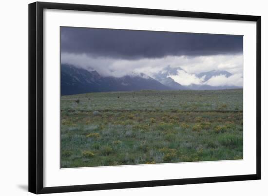 Santa Fe Trail Ruts on the Cimarron Cutoff Route, New Mexico-null-Framed Photographic Print