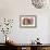 Santa Fe-David Chestnutt-Framed Premium Giclee Print displayed on a wall