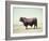 Santa Gertrudis Bull Is a Cross Between Shorthorns and Brahmans and Is Bred at King Ranch-John Dominis-Framed Photographic Print