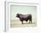 Santa Gertrudis Bull Is a Cross Between Shorthorns and Brahmans and Is Bred at King Ranch-John Dominis-Framed Photographic Print