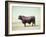 Santa Gertrudis Bull Is a Cross Between Shorthorns and Brahmans and Is Bred at King Ranch-John Dominis-Framed Photographic Print