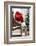 Santa Hat on Chair-Pauline St^ Denis-Framed Photographic Print