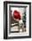 Santa Hat on Chair-Pauline St^ Denis-Framed Photographic Print