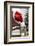 Santa Hat on Chair-Pauline St^ Denis-Framed Photographic Print