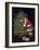 Santa II-Vintage Apple Collection-Framed Giclee Print