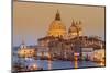 Santa Maria Della Salute Church and Grand Canal at Sunset, Venice, Veneto, Italy-Stefano Politi Markovina-Mounted Photographic Print