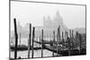 Santa Maria Della Salute, Venezia, Italia-Jeff Pica-Mounted Photographic Print