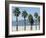 Santa Monica Beach, Santa Monica, California, USA-Ethel Davies-Framed Photographic Print