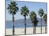 Santa Monica Beach, Santa Monica, California, USA-Ethel Davies-Mounted Photographic Print