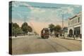 Stretched Canvas Print