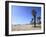 Santa Monica, Los Angeles, California, United States of America, North America-Wendy Connett-Framed Photographic Print