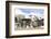 Santa Monica, Los Angeles, California, United States of America, North America-Wendy Connett-Framed Photographic Print