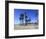 Santa Monica, Los Angeles, California, Usa-Wendy Connett-Framed Photographic Print