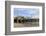 Santa Monica Pier, Pacific Park, Santa Monica, Los Angeles, California, Usa-Wendy Connett-Framed Photographic Print