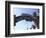 Santa Monica Pier, Santa Monica, Los Angeles, California, United States of America, North America-Wendy Connett-Framed Photographic Print