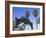 Santa Monica Pier, Santa Monica, Los Angeles, California, Usa-Wendy Connett-Framed Photographic Print