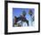 Santa Monica Pier, Santa Monica, Los Angeles, California, Usa-Wendy Connett-Framed Photographic Print