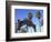 Santa Monica Pier, Santa Monica, Los Angeles, California, Usa-Wendy Connett-Framed Photographic Print