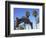 Santa Monica Pier, Santa Monica, Los Angeles, California, Usa-Wendy Connett-Framed Photographic Print