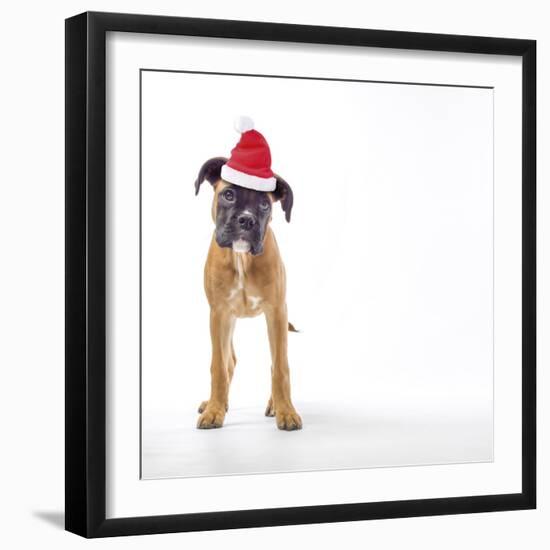 Santa Paws-Assaf Frank-Framed Giclee Print