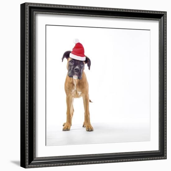 Santa Paws-Assaf Frank-Framed Giclee Print