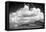 Santa Rita Mountains in August BW-Douglas Taylor-Framed Premier Image Canvas