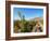 Santa Rita Vineyard, Alto Jahuel, Buin, Santiago Metropolitan Region, Chile, South America-Karol Kozlowski-Framed Photographic Print