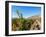 Santa Rita Vineyard, Alto Jahuel, Buin, Santiago Metropolitan Region, Chile, South America-Karol Kozlowski-Framed Photographic Print