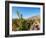 Santa Rita Vineyard, Alto Jahuel, Buin, Santiago Metropolitan Region, Chile, South America-Karol Kozlowski-Framed Photographic Print