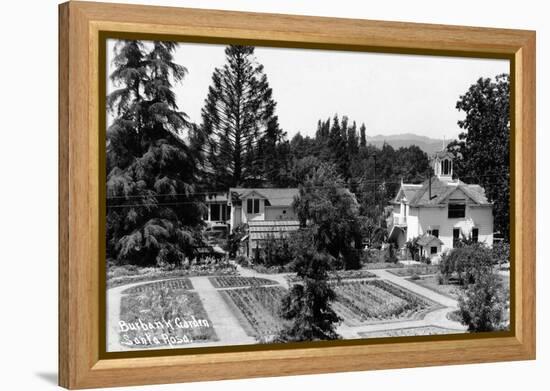 Santa Rosa, California - View of a Burbank Garden-Lantern Press-Framed Stretched Canvas