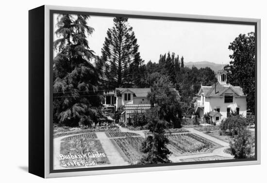 Santa Rosa, California - View of a Burbank Garden-Lantern Press-Framed Stretched Canvas