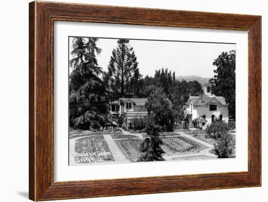 Santa Rosa, California - View of a Burbank Garden-Lantern Press-Framed Art Print