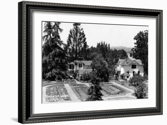 Santa Rosa, California - View of a Burbank Garden-Lantern Press-Framed Art Print