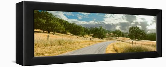 Santa Rosa Creek Road Passing Through Field, California State Route 46, California, Usa-null-Framed Stretched Canvas