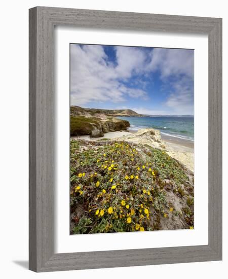 Santa Rosa Island, Channel Islands National Park, California-Ian Shive-Framed Photographic Print