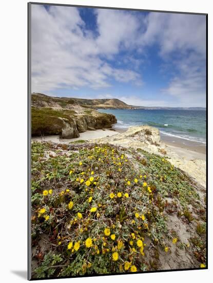 Santa Rosa Island, Channel Islands National Park, California-Ian Shive-Mounted Photographic Print