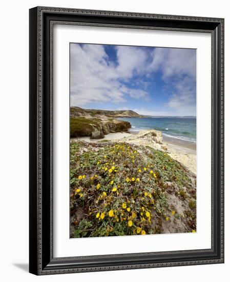 Santa Rosa Island, Channel Islands National Park, California-Ian Shive-Framed Photographic Print