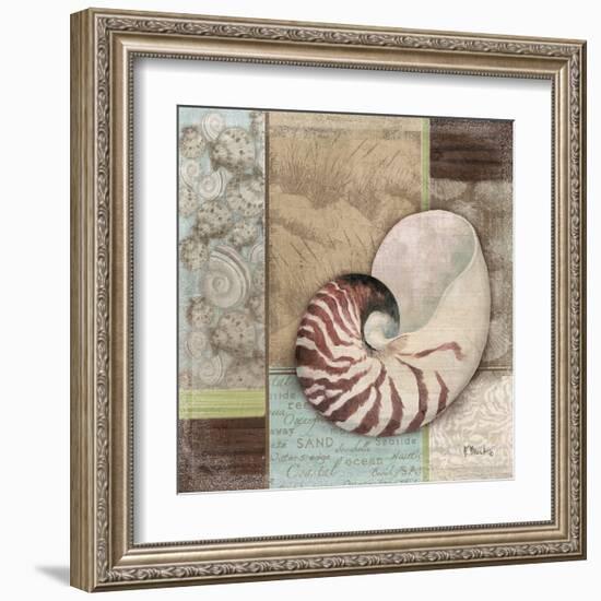 Santa Rosa Shell II-Paul Brent-Framed Art Print