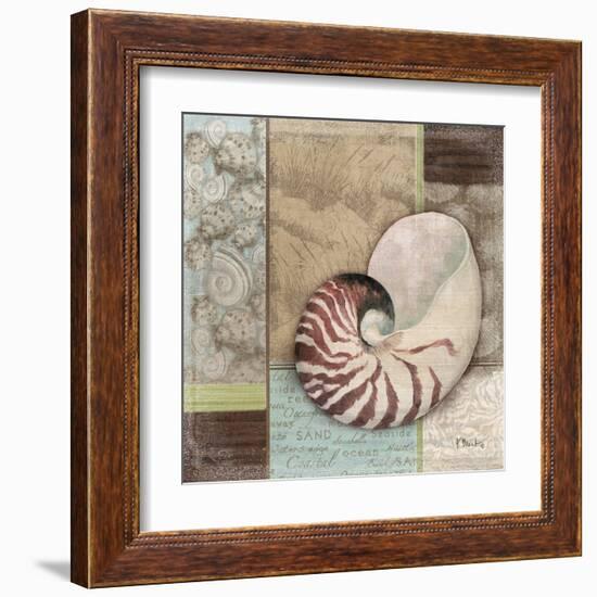 Santa Rosa Shell II-Paul Brent-Framed Art Print